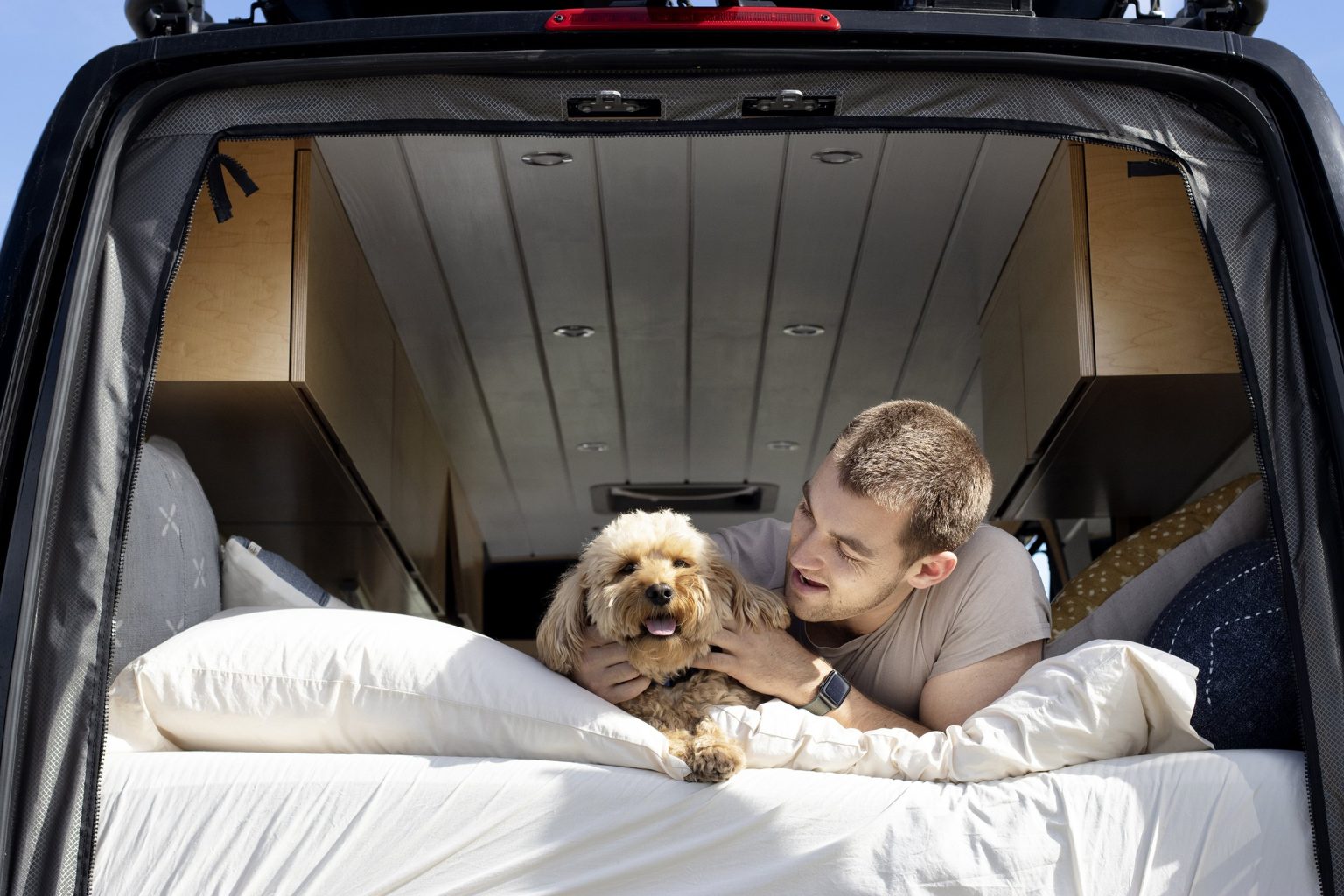 camper van travel with dogs